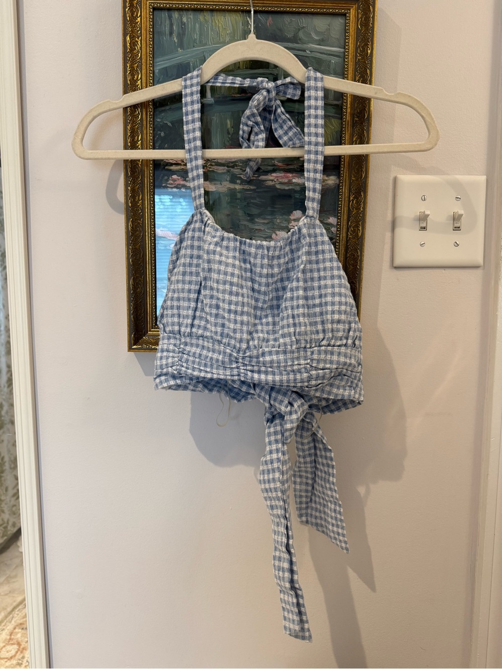 Altar'd State Blue and White Gingham Tie-Back Crop Top